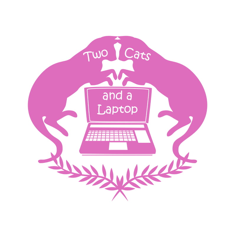 2 Cats and a Laptop